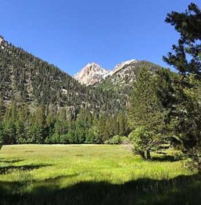 Mountain Meadow – Eastern Sierras