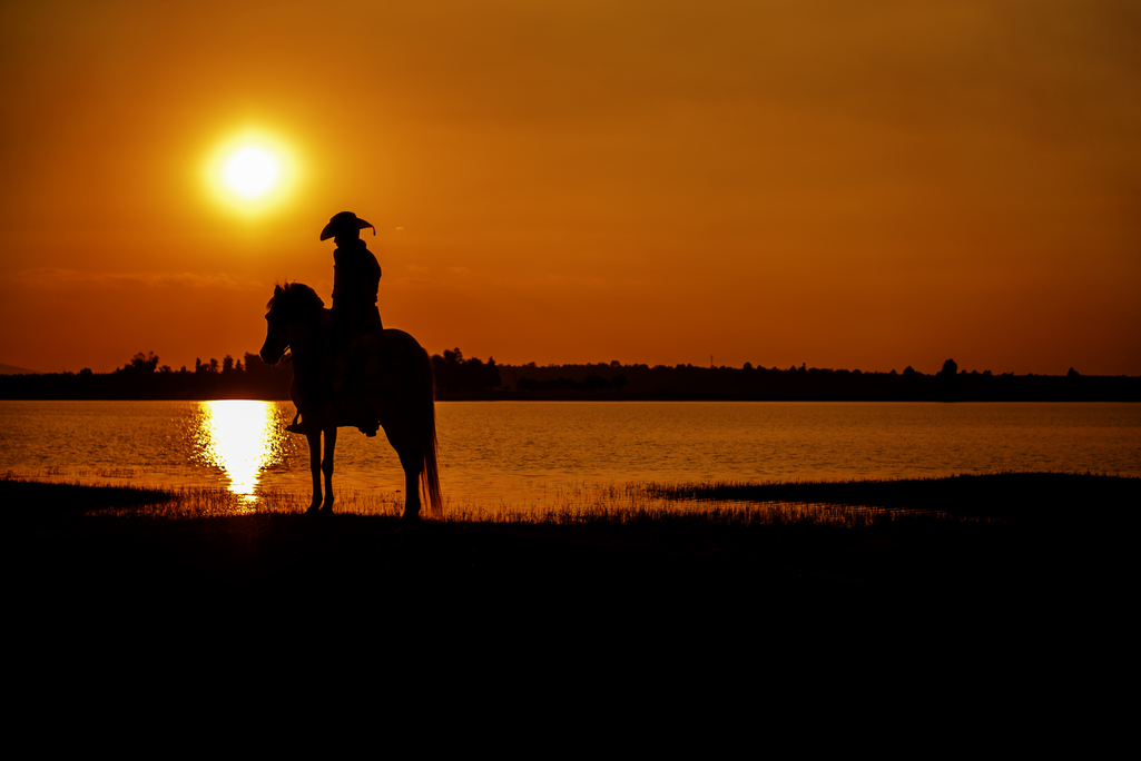 cowboy on horseback against a stunning orange sunset