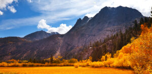Stunning autumn color in the High Sierra